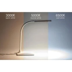 Maul Schreibtischlampe Maulpearly LED, Dimmbar, Weiß, Mit Standfuß 8 Maul Schreibtischlampe Maulpearly LED, Dimmbar, Weiß, Mit Standfuß -Maul Shop e529329d5e219c3699d74ee47ef870c712f27d3e schreibtischlampe maul maulpearly led